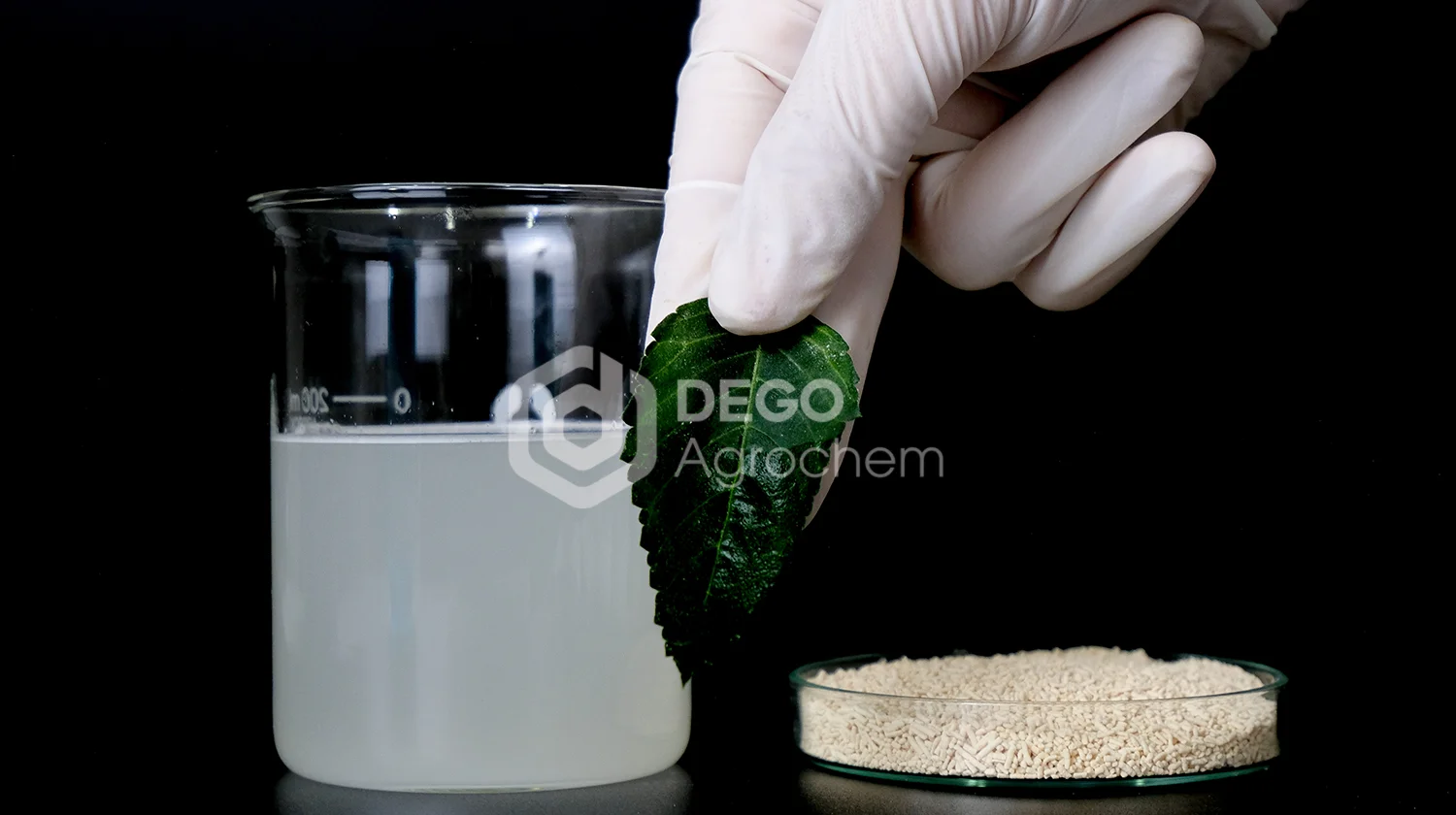 Thuốc trừ sâu CREEK 51WG - Emamectin Benzoate 51g/kg hòa tan tốt trong nước