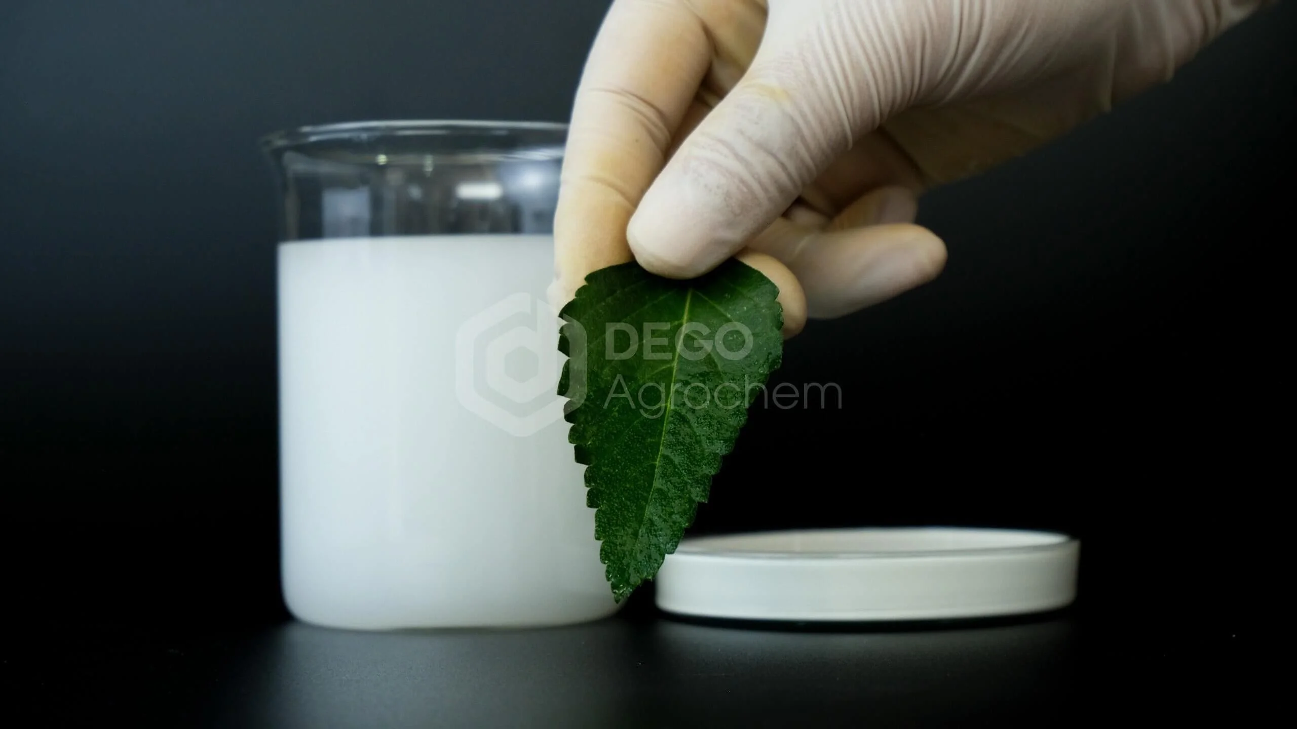 Thuốc trừ sâu VOTE 34.2SC - Bifenthrin Imidacloprid