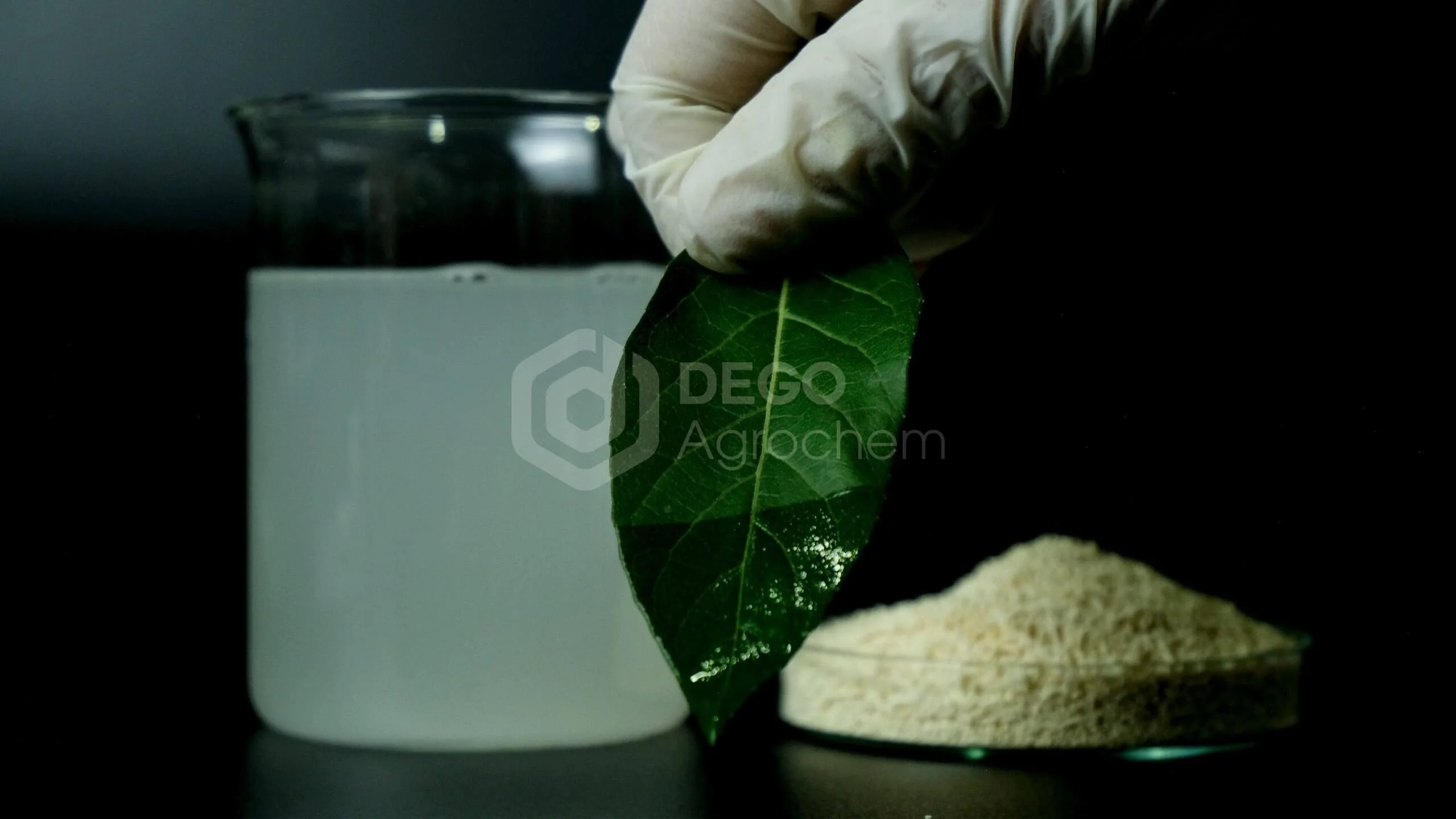 thuốc trừ sâu MAKEGEEN 5.5WDG - Emamectin benzoate 55g