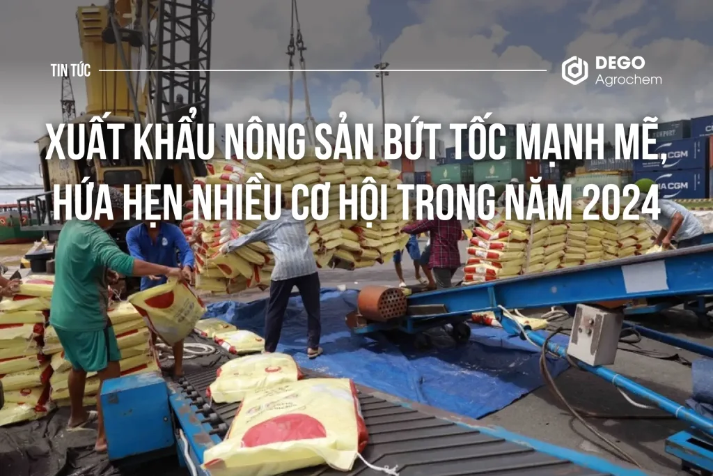 XUẤT KHẨU NÔNG SẢN BỨT TỐC MẠNH MẼ, HỨA HẸN NHIỀU CƠ HỘI TRONG NĂM 2024