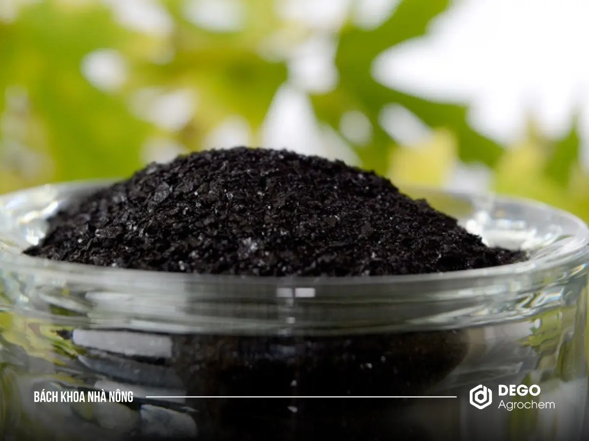 Axit Humic là một loại hợp chất hữu cơ được tạo ra từ quá trình phân huỷ của động, thực vật