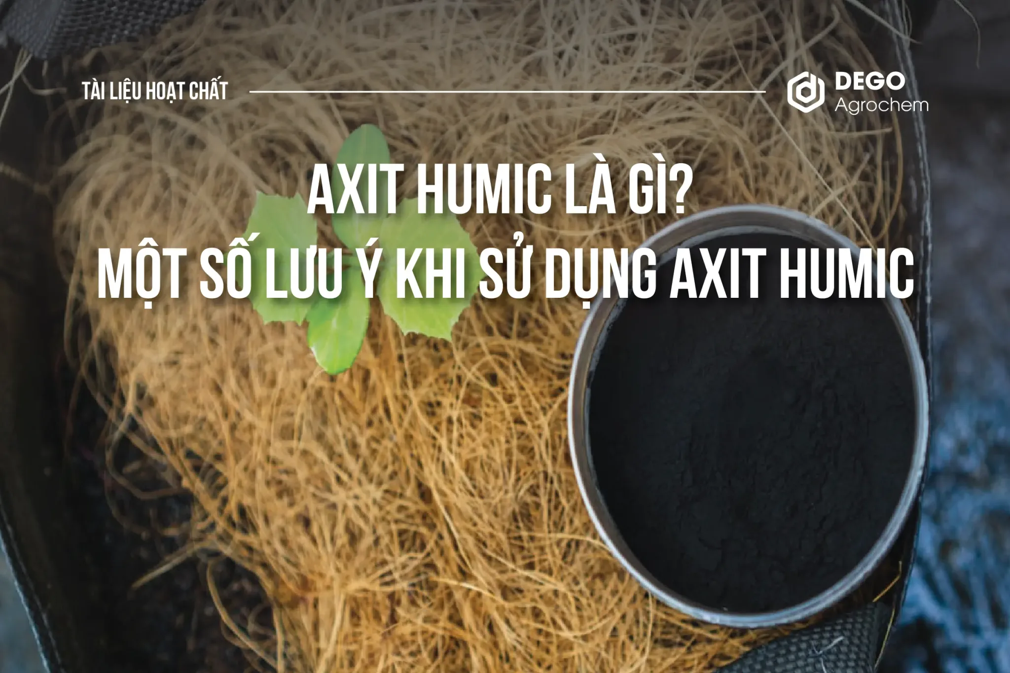 AXIT HUMIC LÀ GÌ? MỘT SỐ LƯU Ý KHI SỬ DỤNG AXIT HUMIC