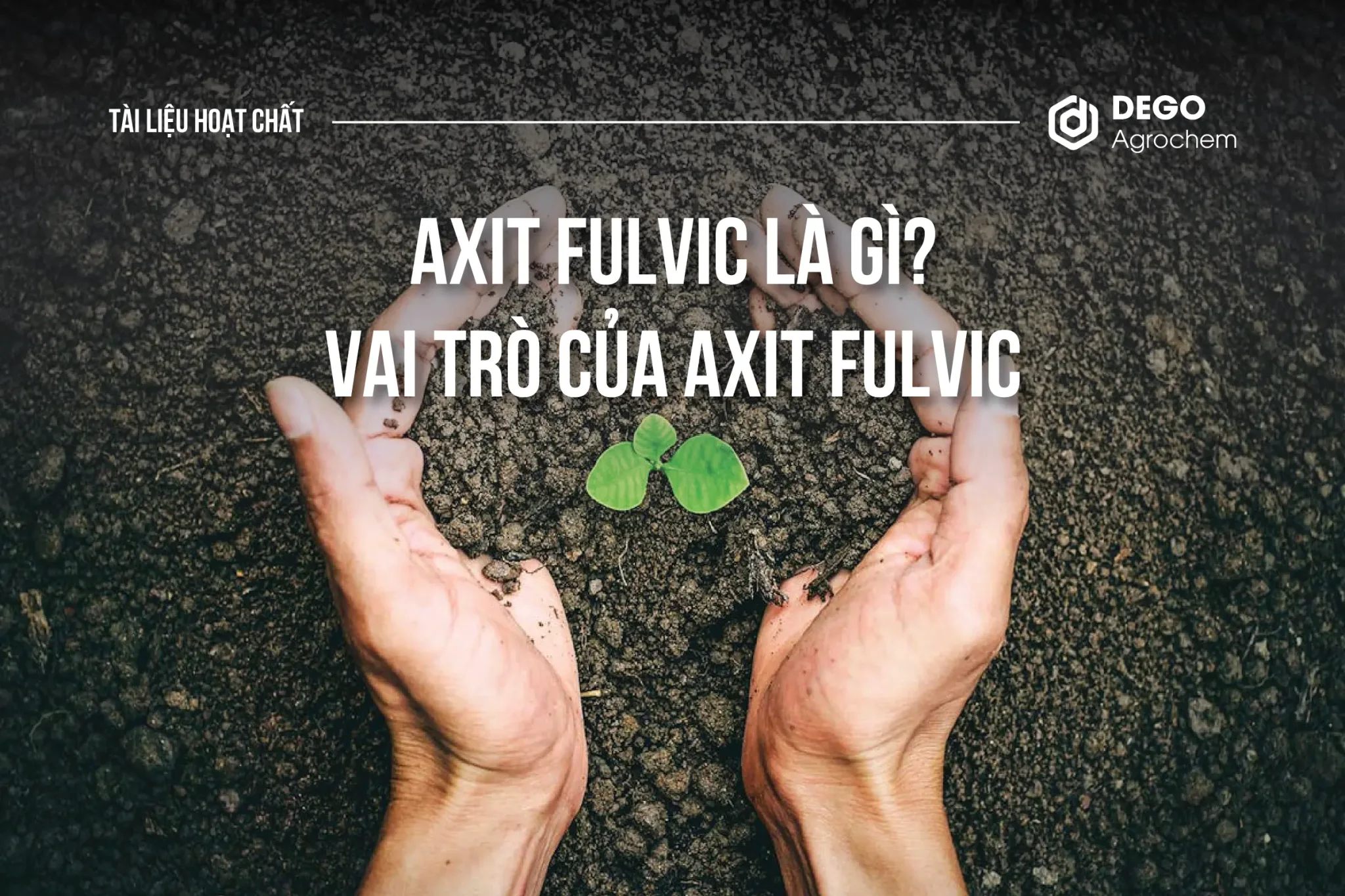 Axit Humic là gì? Vai trò của Axit Humic