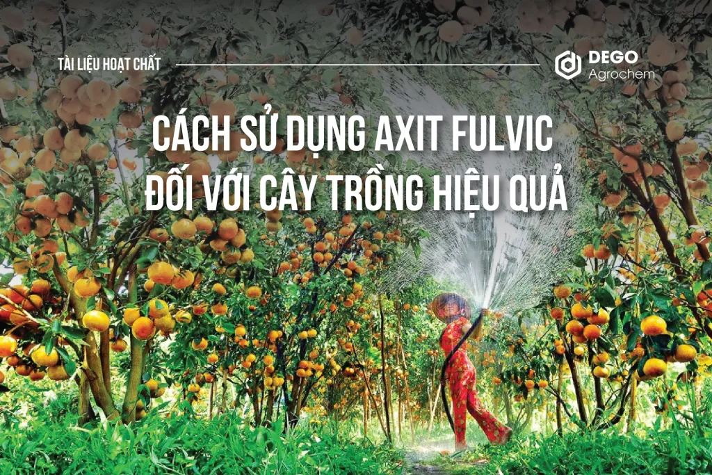 CÁCH SỬ DỤNG AXIT FULVIC ĐỐI VỚI CÂY TRỒNG HIỆU QUẢ