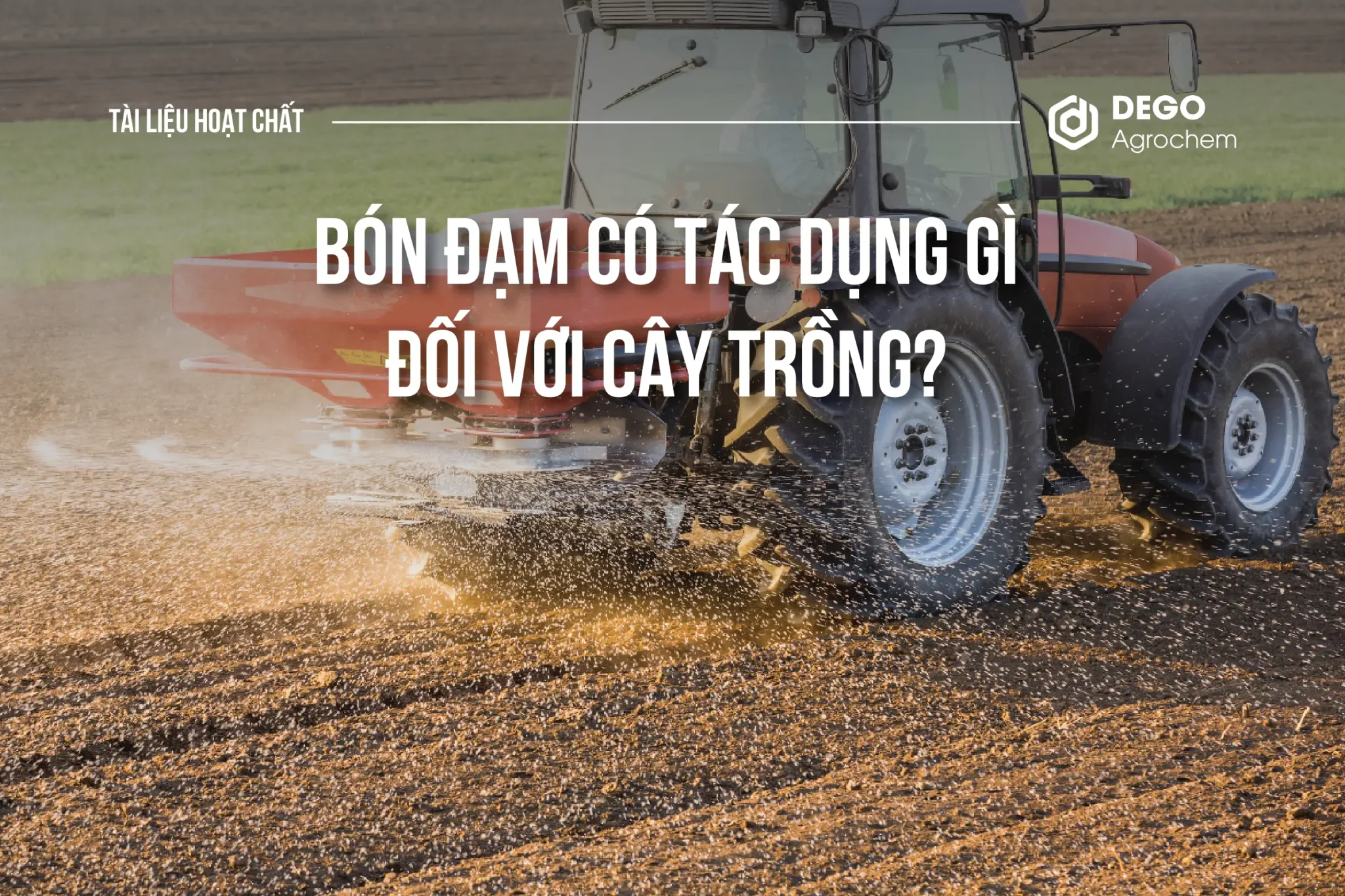 BÓN ĐẠM CÓ TÁC DỤNG GÌ ĐỐI VỚI CÂY TRỒNG?