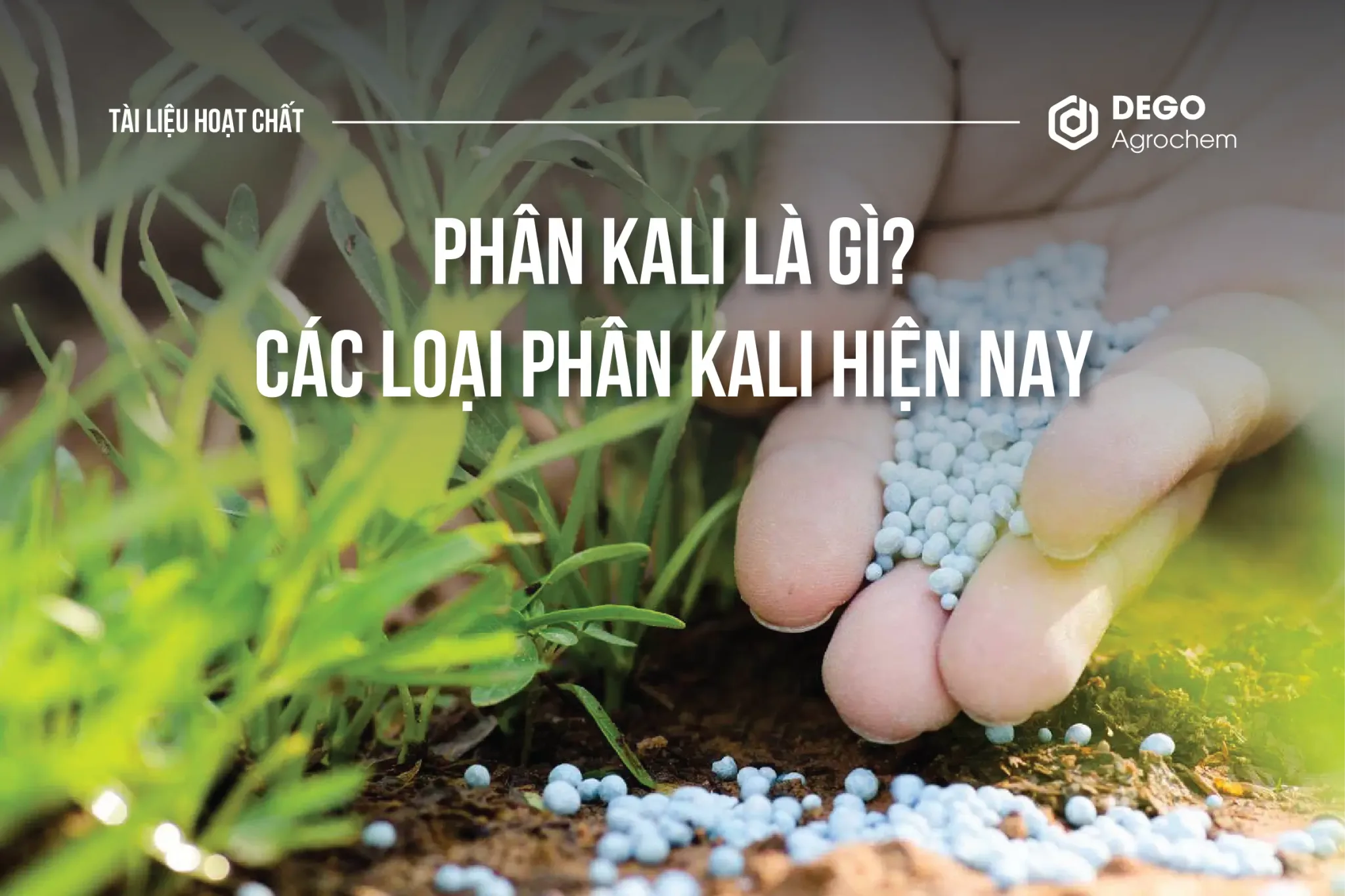Phân Kali là gì? Các loại phân Kali phổ biến hiện nay