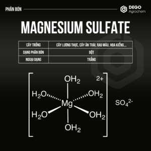 magnesium sulfate