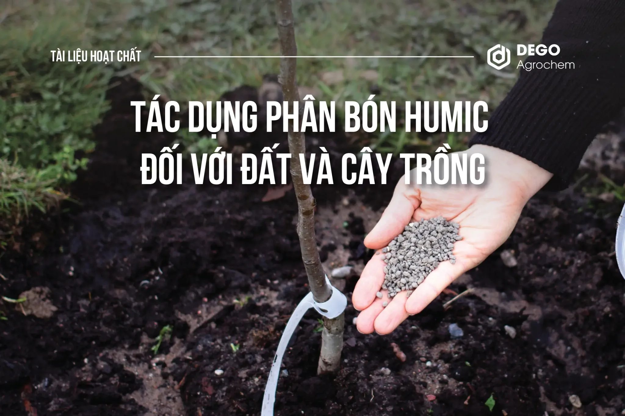 TÁC DỤNG PHÂN BÓN HUMIC ĐỐI VỚI ĐẤT VÀ CÂY TRỒNG