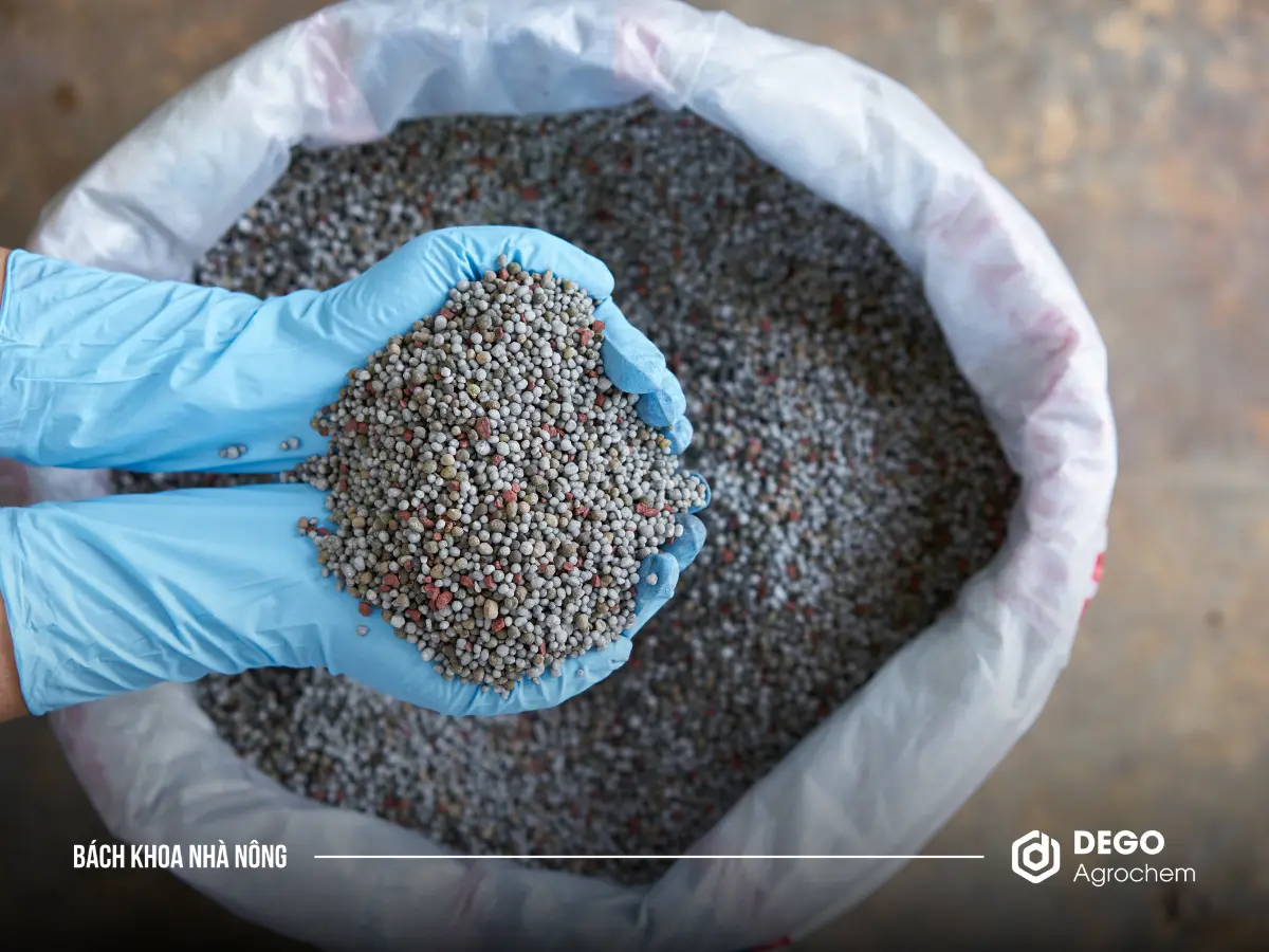 Phân lân là một loại phân bón vô cơ dùng để bón cho cây trồng
