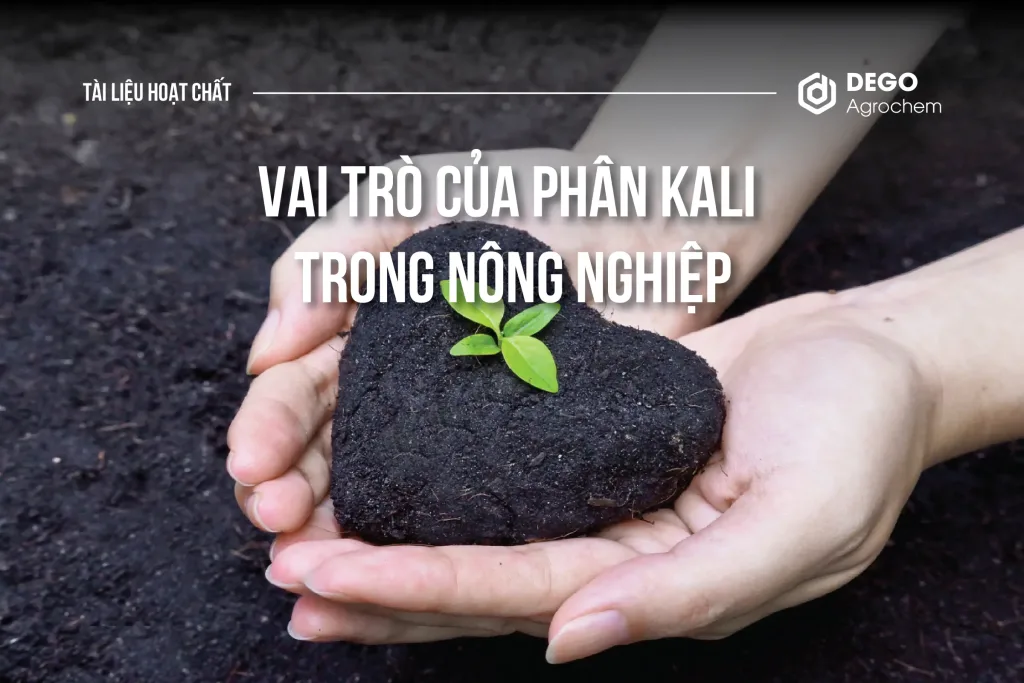 Vai trò của phân Kali trong nông nghiệp