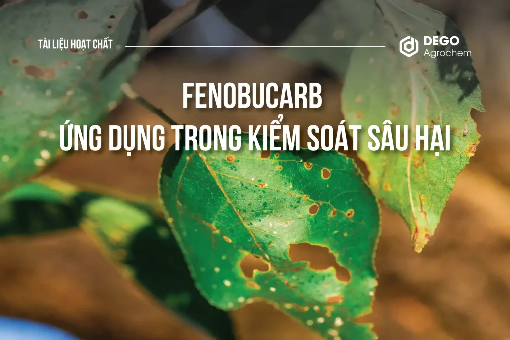 FENOBUCARB VÀ ỨNG DỤNG TUYỆT VỜI TRONG KIỂM SOÁT SÂU HẠI