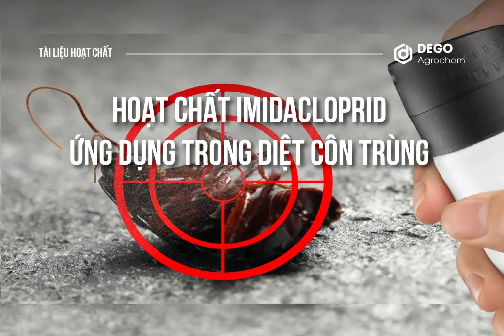 IMIDACLOPRID VÀ ỨNG DỤNG TUYỆT VỜI TRONG DIỆT CÔN TRÙNG